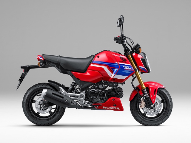 grom2026.jpg